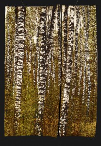 Bois de bouleaux - 180x80 - tapisserie haute lice