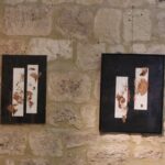 fugues de pavots