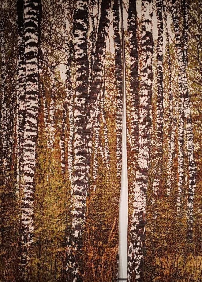bois de bouleaux